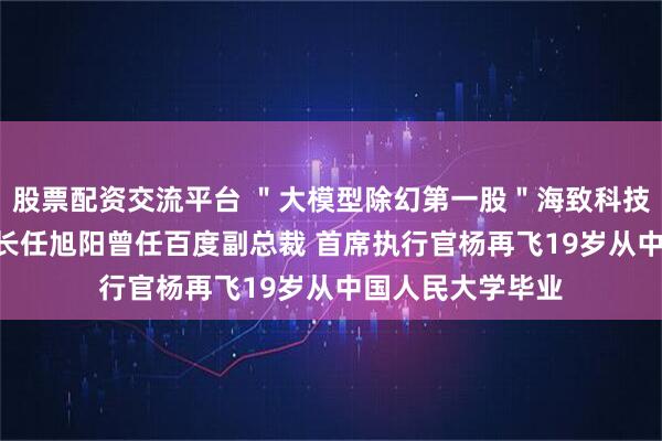 股票配资交流平台 ＂大模型除幻第一股＂海致科技港股IPO：董事长任旭阳曾任百度副总裁 首席执行官杨再飞19岁从中国人民大学毕业